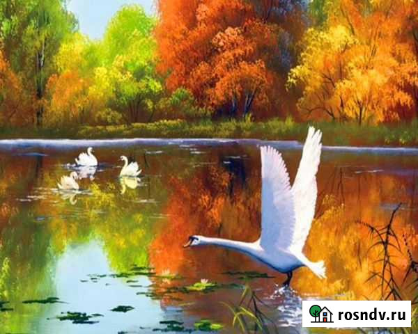 Картины по номерам Оренбург - изображение 1