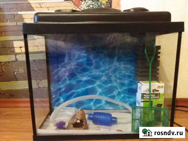 Аквариум Тверь - изображение 1