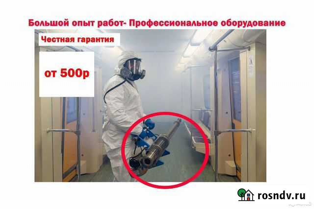 Уничтожение тараканов, клопов,плесени, мышей, крыс Рязань - изображение 1