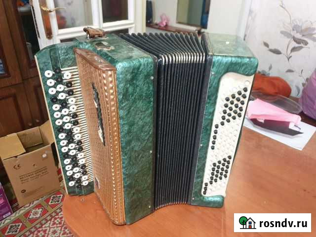 Баян Бугульма - изображение 1