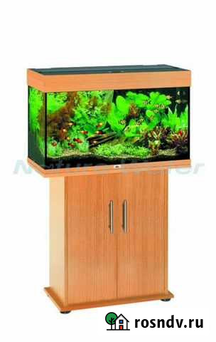 Аквариум Сургут - изображение 1