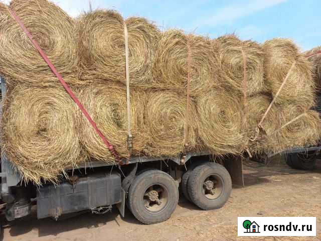 Свежее сено для крс Калач-на-Дону - изображение 1