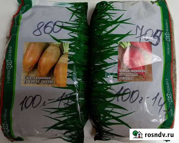Семена кормовой свеклы Бузулук - изображение 1
