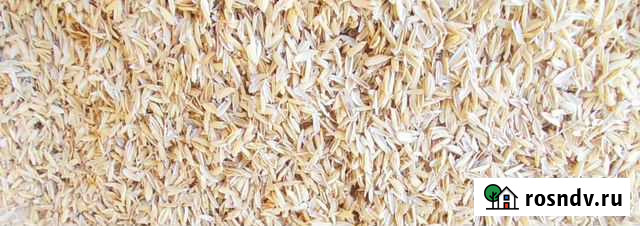 Шелуха рисовая Астрахань - изображение 1