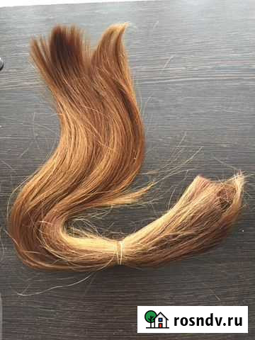 Волосы Кострома - изображение 1