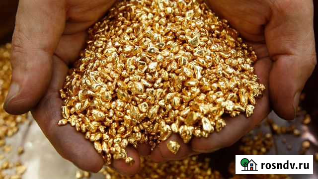 Продам Лицензию россыпного золота Норильск - изображение 1