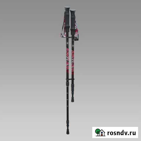 Палки для скандинавской ходьбы т. м. Armed STC03 Златоуст - изображение 1