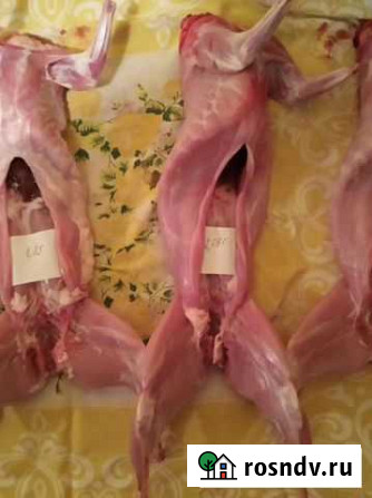 Продам мясо молодого кролика Тербуны - изображение 1