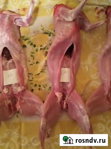 Продам мясо молодого кролика Тербуны - изображение 1