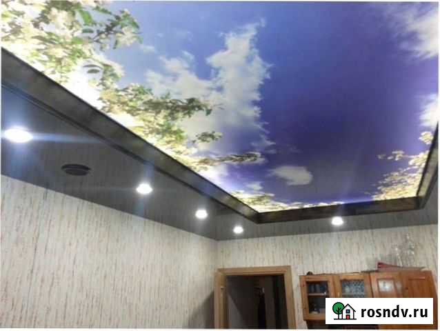 Натяжной потолок Сокол - изображение 1