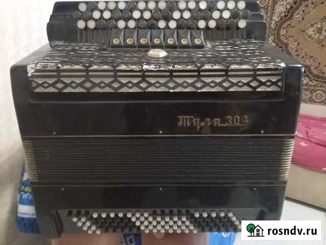 Баян Тула 304 Знаменка - изображение 1