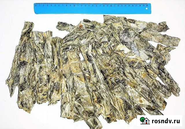 Угощения для собак Астрахань - изображение 1