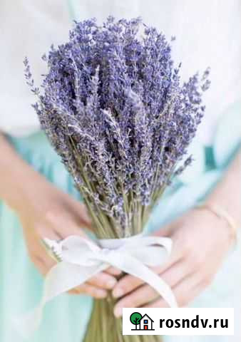 Чайный букет лаванды Черногорск - изображение 1