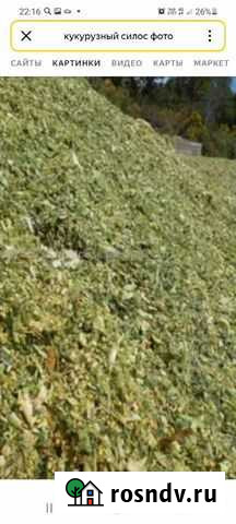 Силос кукурузный Думиничи - изображение 1