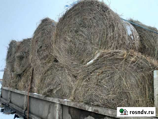 Сено в рулонах с доставкой Братск - изображение 1