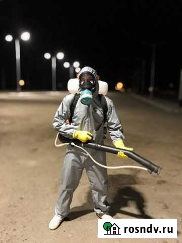 Дезинфекция Дезинсекция Фумигация Воронеж - изображение 1