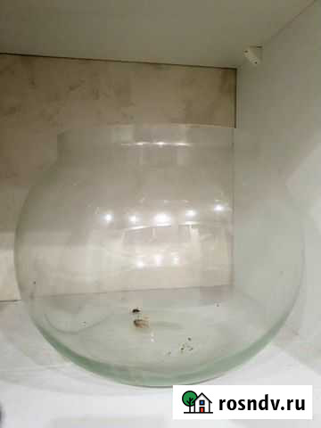 Аквариум стеклянный круглый 8.5л Подольск - изображение 1