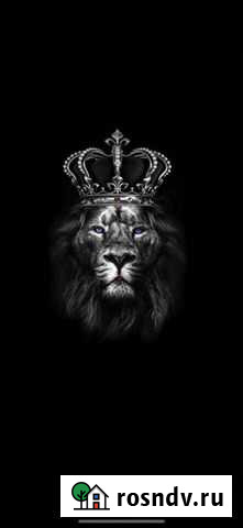 Автоподбор Брянск - изображение 1