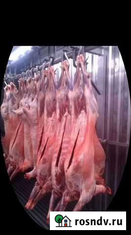 Мясо баранины Белово - изображение 1