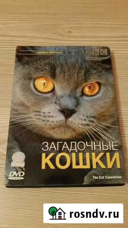 Документальный фильм о кошках. Производство ввс Иркутск - изображение 1