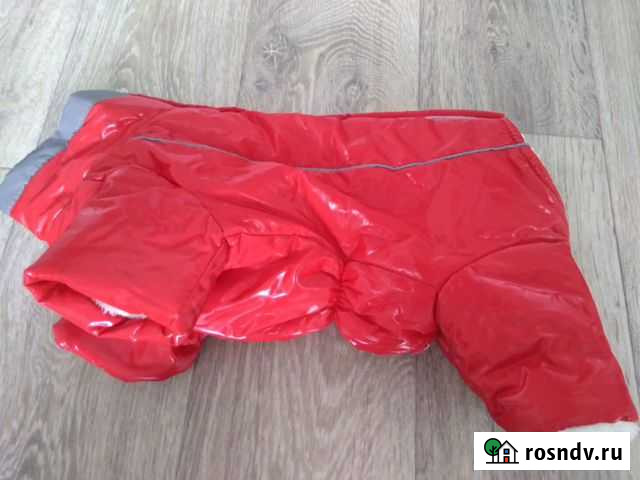 Комбинезон для собак Комсомольск-на-Амуре - изображение 1