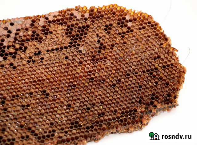 Перга. перговые вырезки закупаю Кукмор - изображение 1