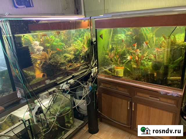 Аквариумы Ялта - изображение 1