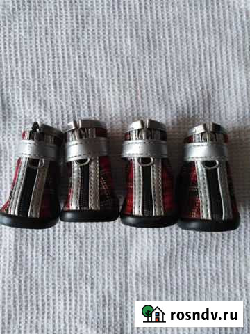 Обувь для любимого питомца Гулькевичи - изображение 1