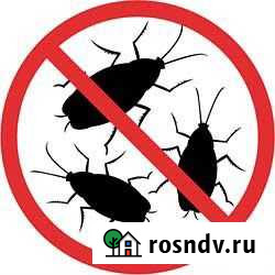 Обработка от тараканов клопов муравьев плесени. Ун Казань - изображение 1