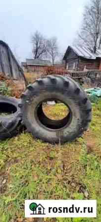 Алтайшина 24 10/50 R24 25B Тарногский Городок