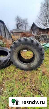 Алтайшина 24 10/50 R24 25B Тарногский Городок - изображение 1