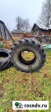 Алтайшина 24 10/50 R24 25B Тарногский Городок - изображение 1