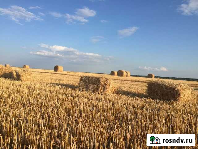 Солома Тольятти - изображение 1