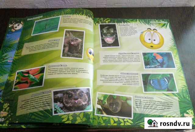 Коллекция стикеров от Карусель Набережные Челны - изображение 1