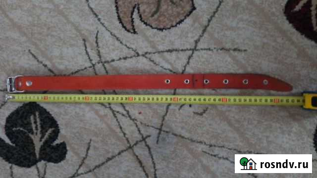 Ошейник для собак Йошкар-Ола - изображение 1