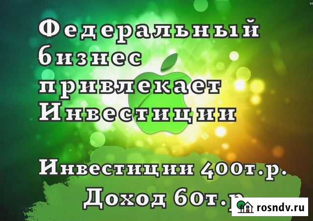 Ищу инвестора в успешный бизнес Королев - изображение 1