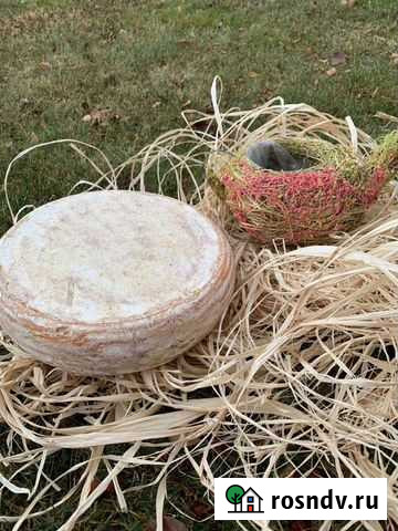 Сыр Чеддер Ирбит - изображение 1