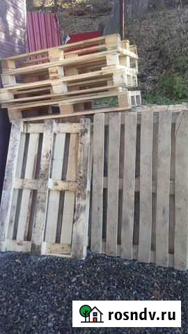 Новые поддоны деревянные Горно-Алтайск - изображение 1