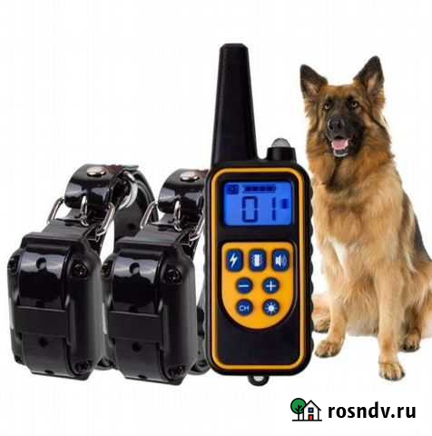 Электронный ошейник для собак Петрозаводск - изображение 1