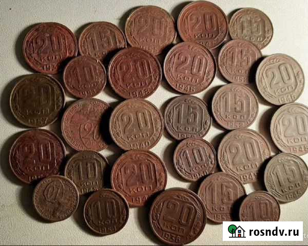 Ранние советы Невель - изображение 1