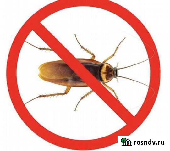 Уничтожение, обработка от клопов, тараканов Омск - изображение 1