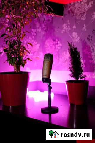 Behringer c1 Микрофон Москва - изображение 1