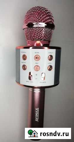 Караоке микрофон Нижний Тагил - изображение 1