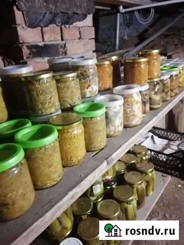 Грибы Соликамск - изображение 1