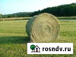 Лучшее сено 2021 года. Погрузка, доставка Урюпинск - изображение 1