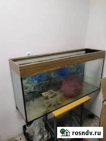 Аквариум Таганрог - изображение 1