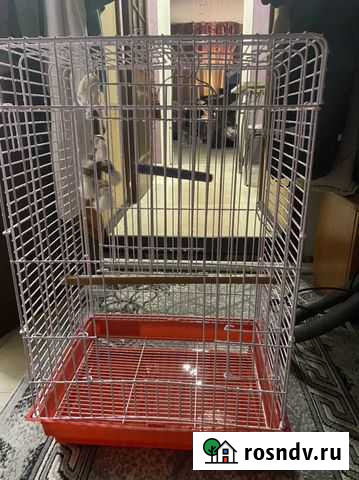 Клетка Тверь - изображение 1