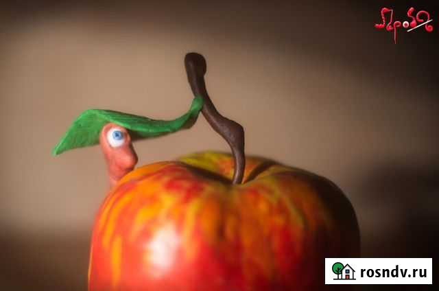 Мультфильм на заказ / мастер-класс Тула - изображение 1