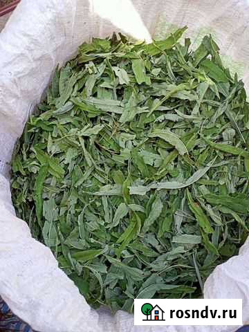 Травы,корни.Горный Алтай лечебные.Кипрей (Иван чай Белокуриха - изображение 1