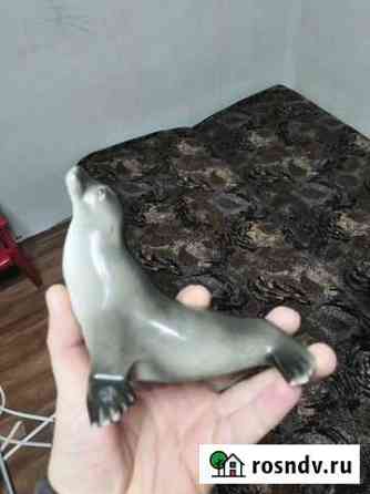 Тюлень лфз Шахты